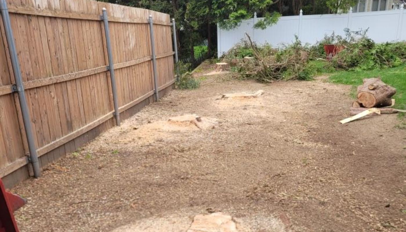 Superior Stump Grinding | Expert Tree Stump Removal | About